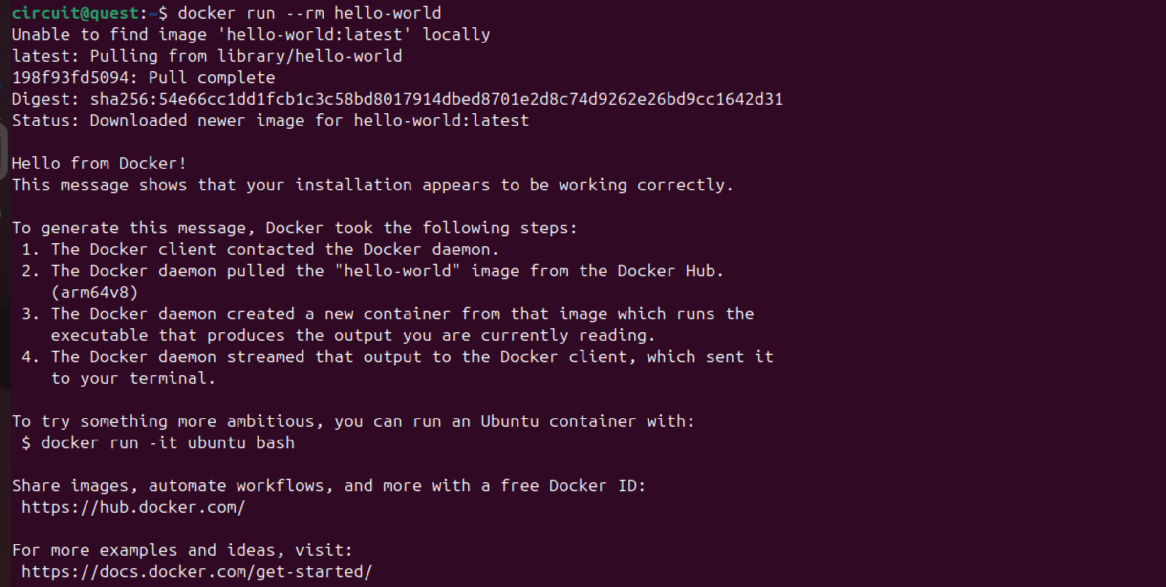 Docker Hello World output